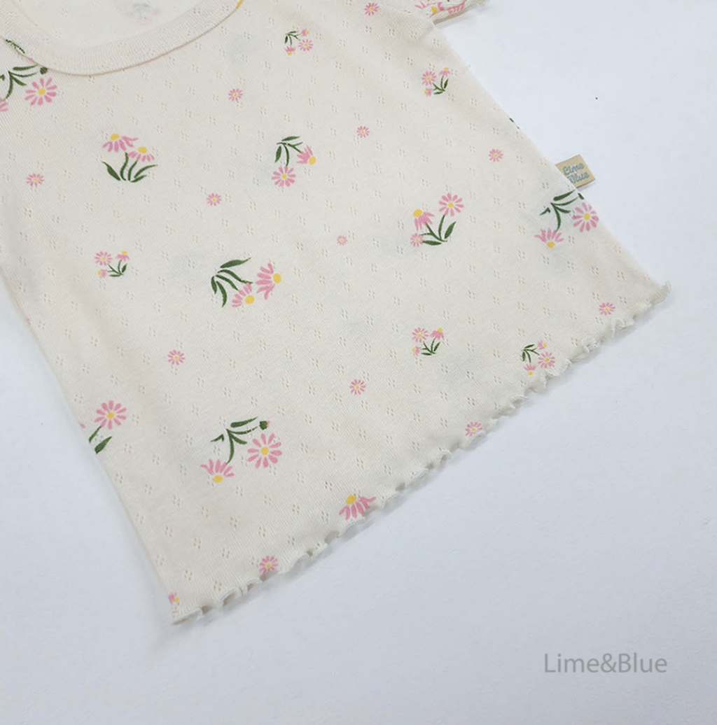 螢幕擷取畫面 2026-03-18 023425