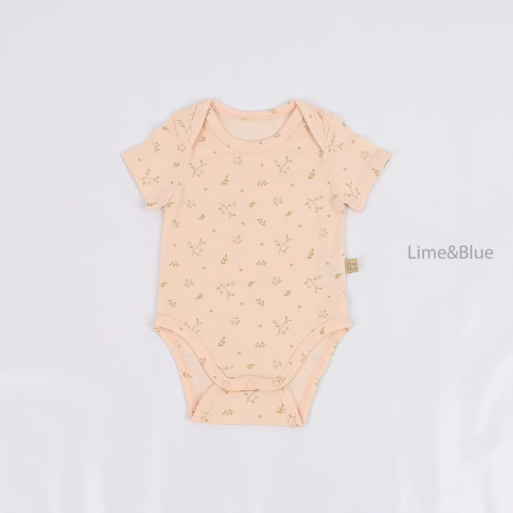 圖片_2026-03-19_162558_863