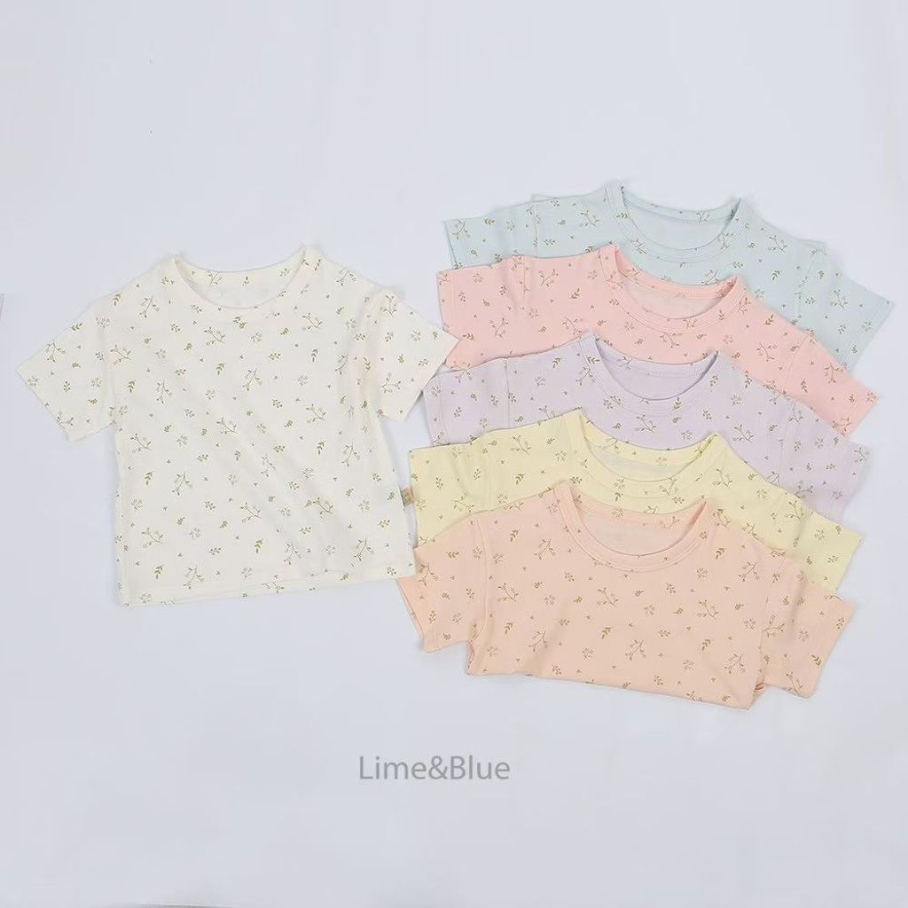 圖片_2026-03-19_162649_412