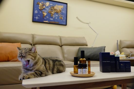 她是我家的燈籠褲小妹 | 新月海洋