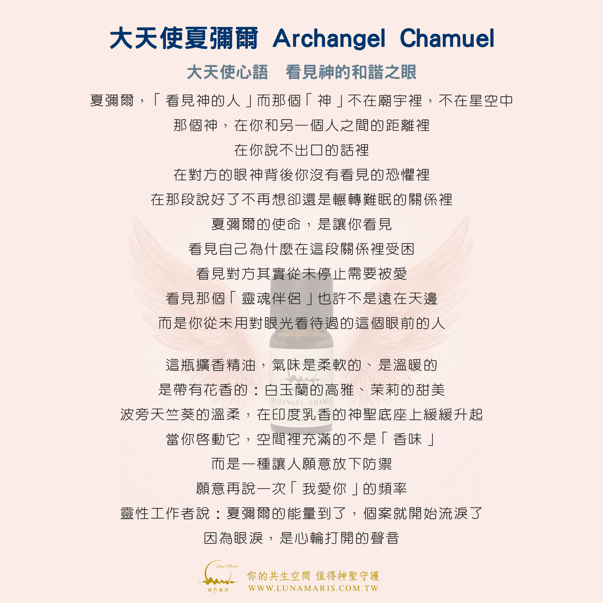 夏彌爾正面