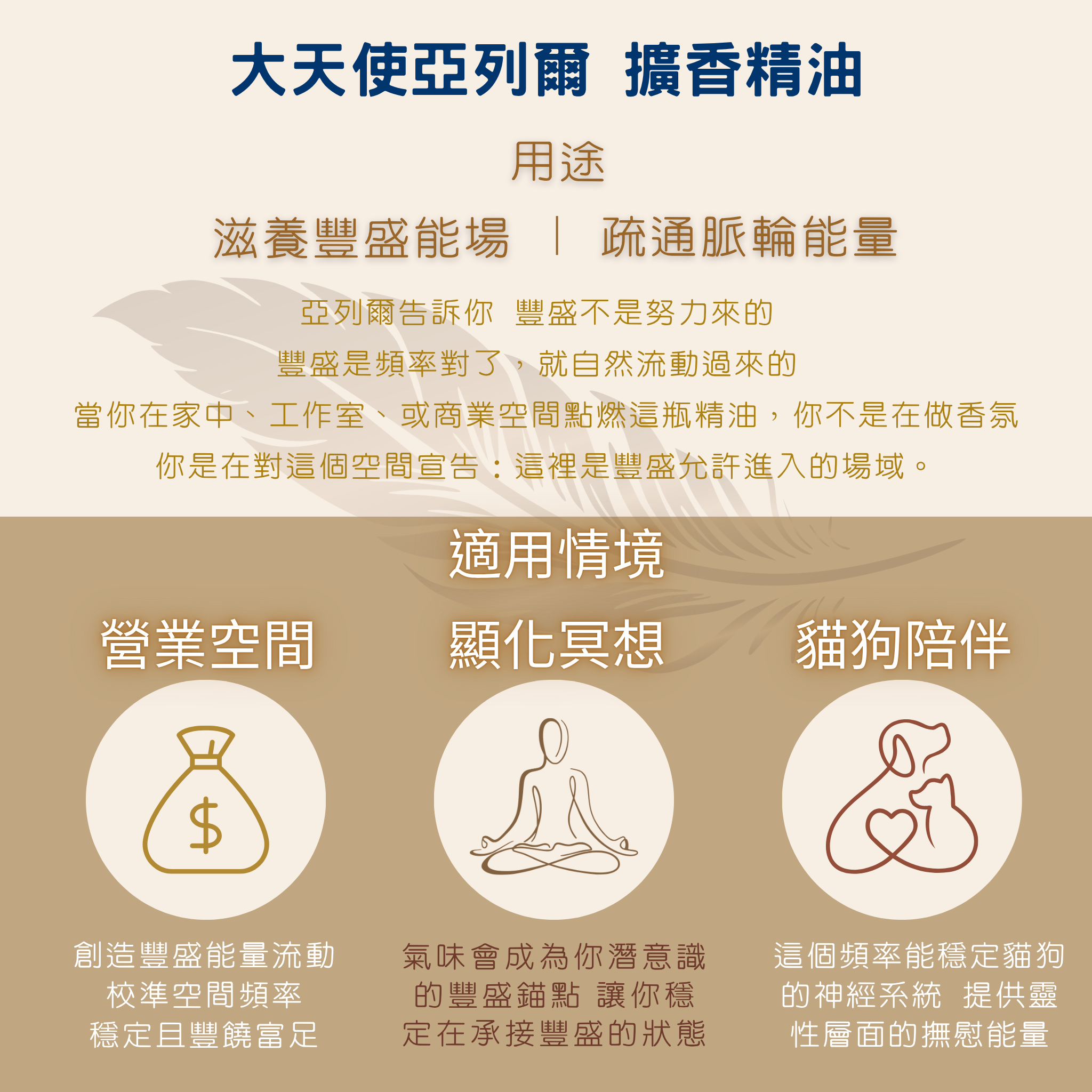 亞列爾用途使用情境
