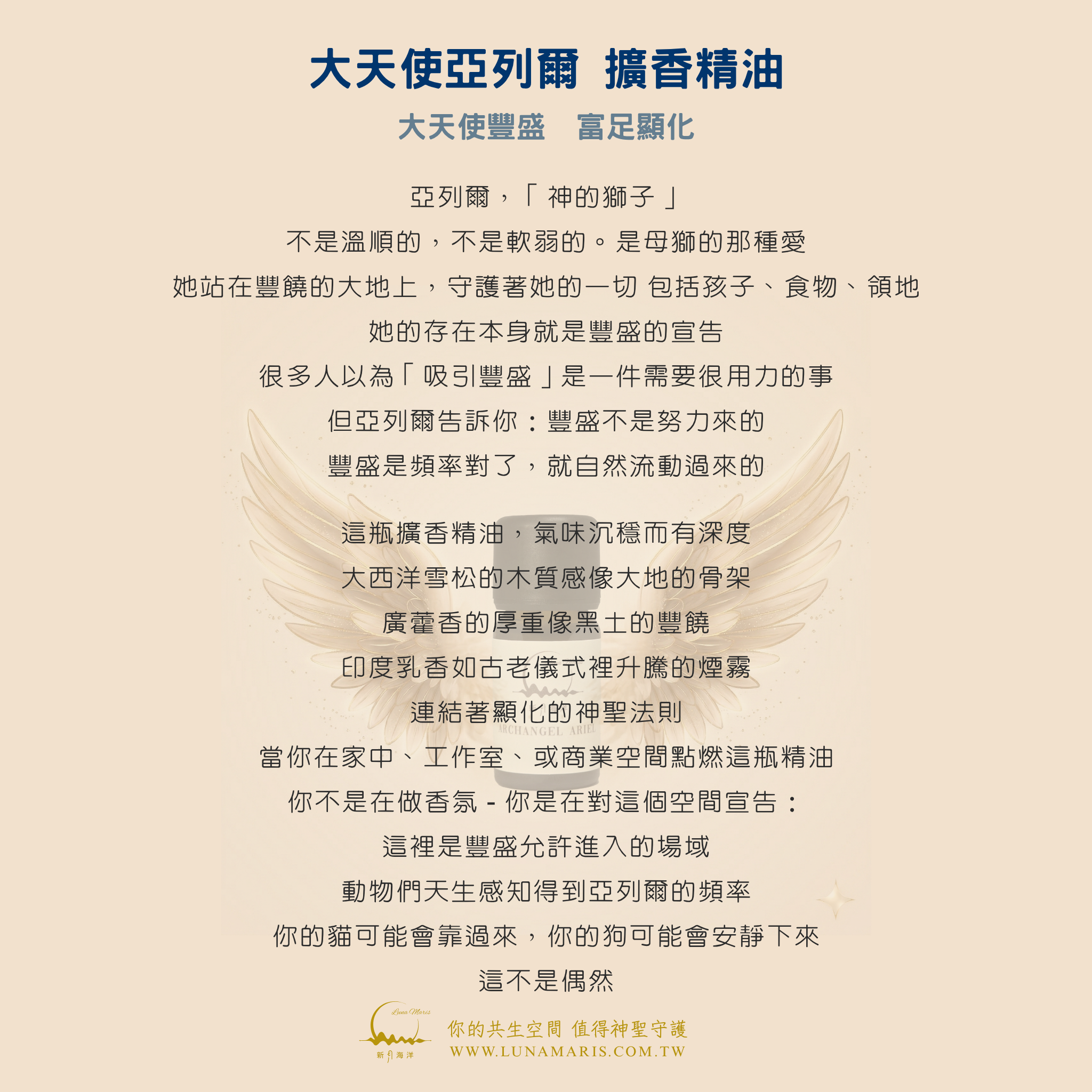 亞列爾正面