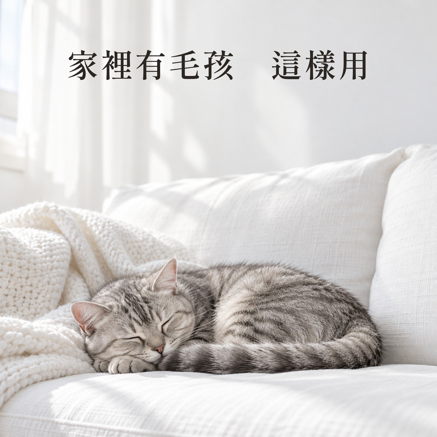 新月海洋：家裡有毛孩，這樣用