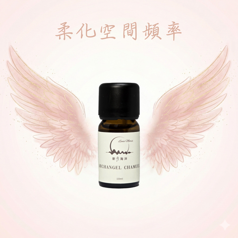 V夏彌爾翅膀圖_加字