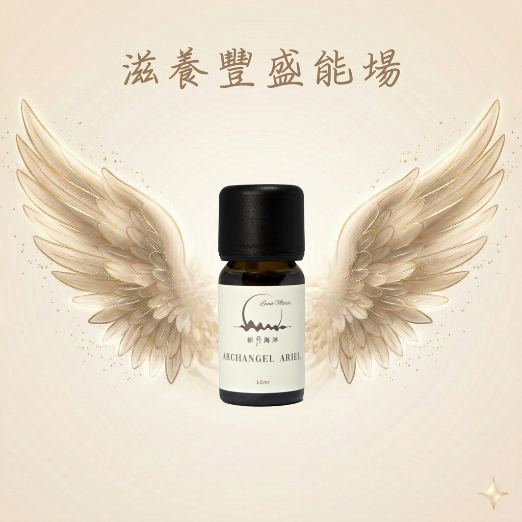 V亞列爾翅膀圖_加字