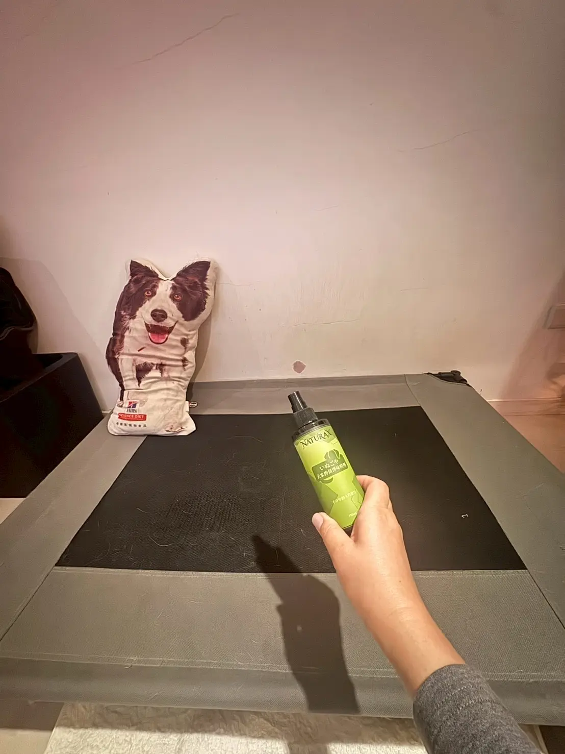 A hand holding NaturaX Dog Home Odor and Antibacterial Spray over an elevated pet bed to neutralize odors and provide 24-hour protection