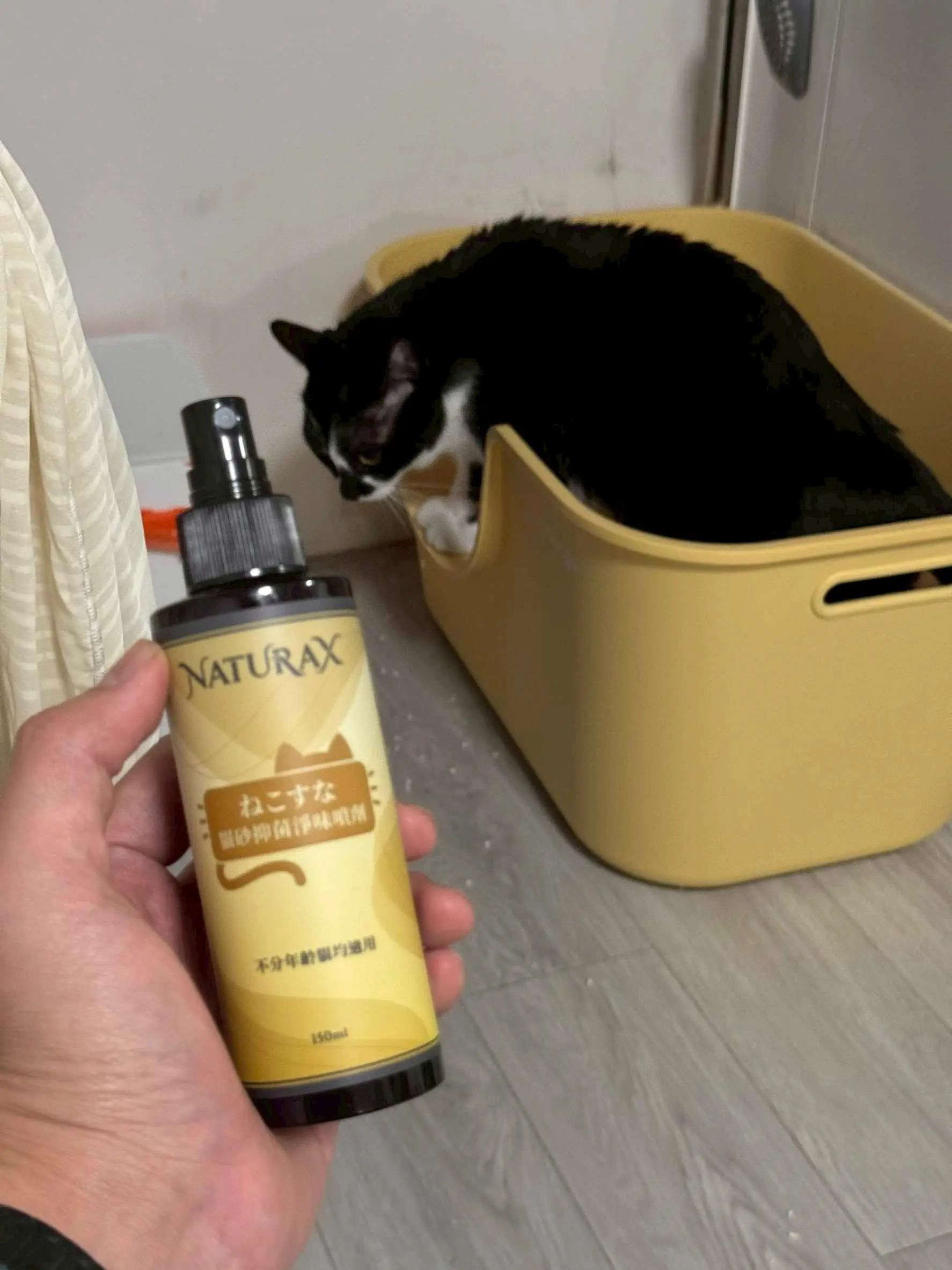 A hand holding NaturaX Cat Litter Deodorant Spray with a tuxedo cat standing in a yellow litter box in the background
