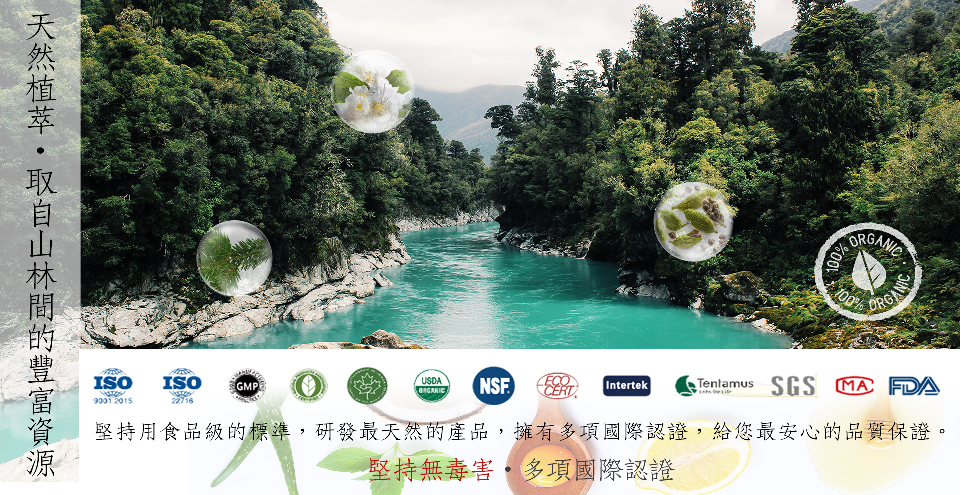 天然植萃banner (1920)