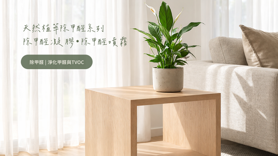  | 富盛豐植粹生活館