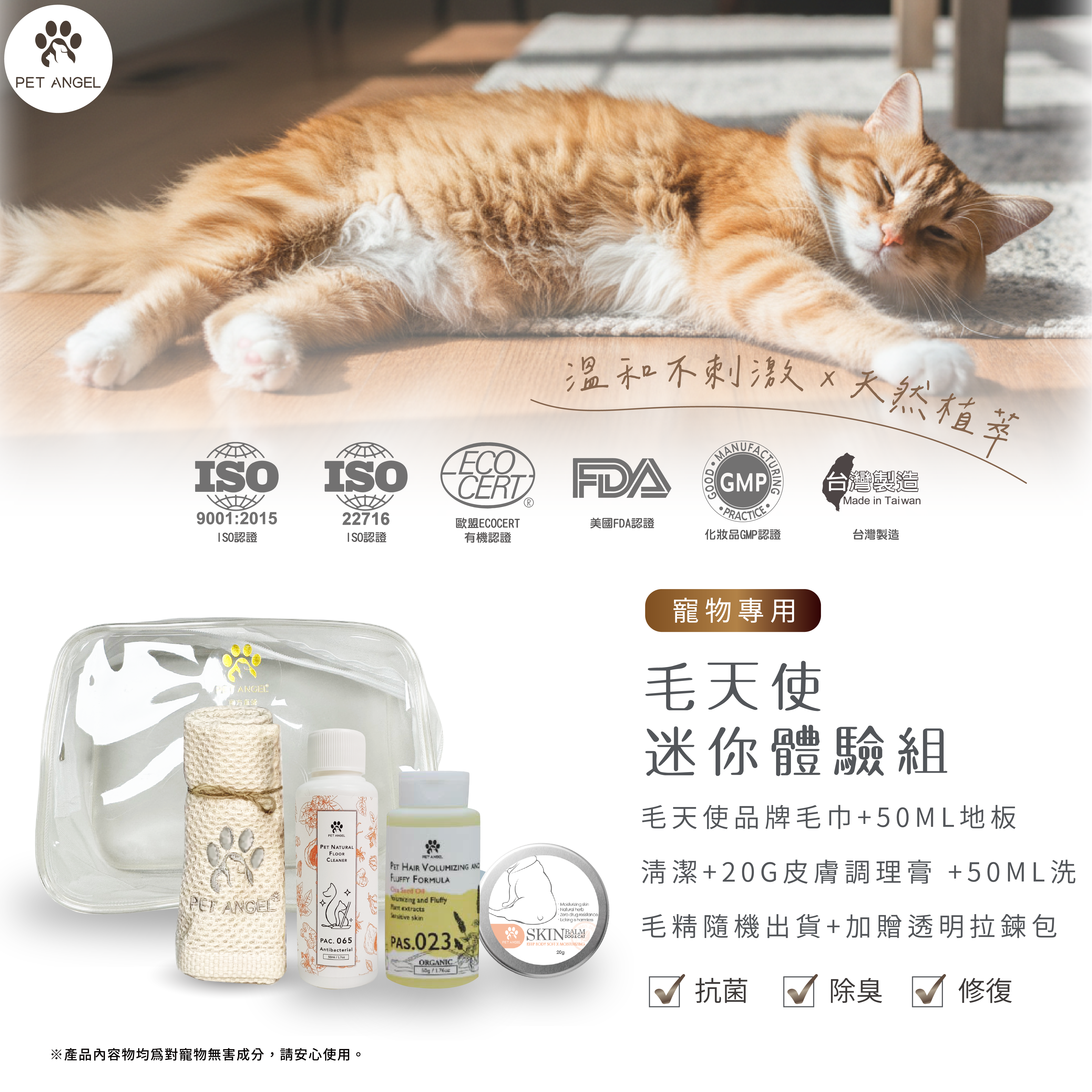 260423毛天使迷你體驗組