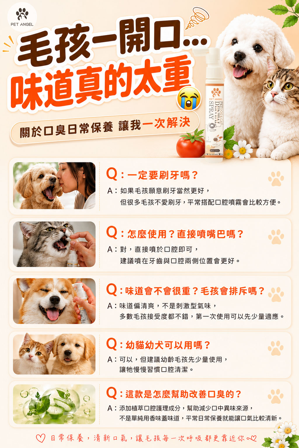 寵物口腔護理_FAQ V