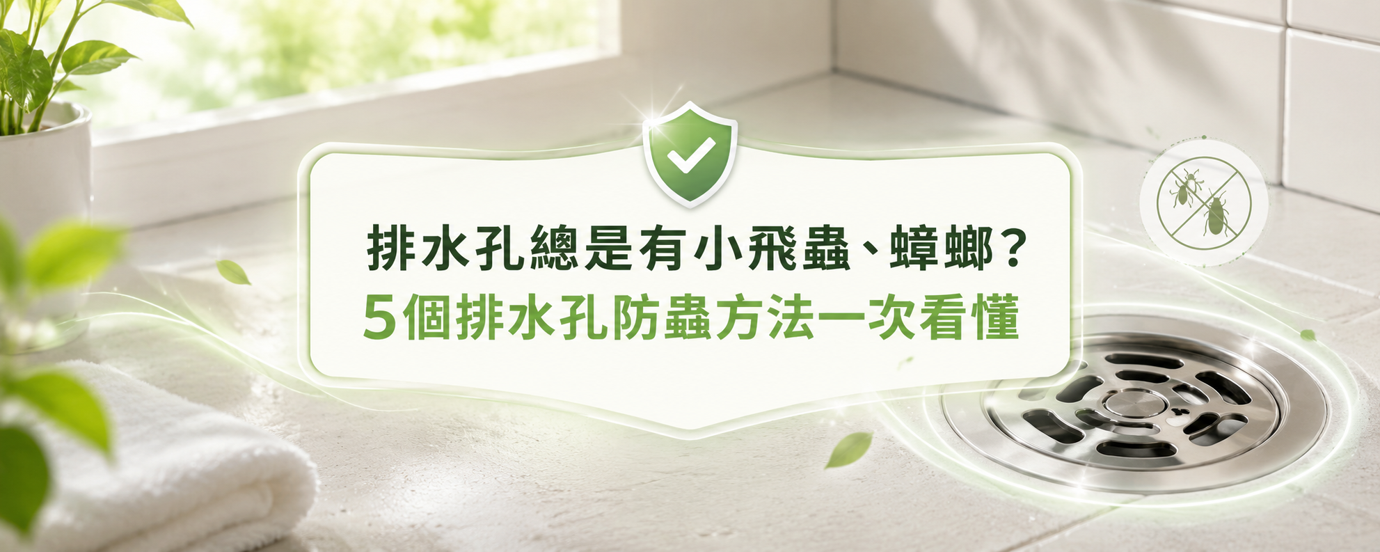 排水孔總是有小飛蟲、蟑螂？5個排水孔防蟲方法一次看懂
