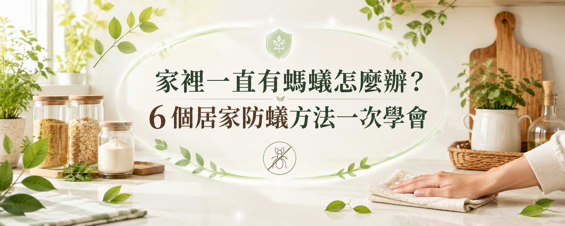 家裡一直有螞蟻怎麼辦？6 個居家防蟻方法一次學會