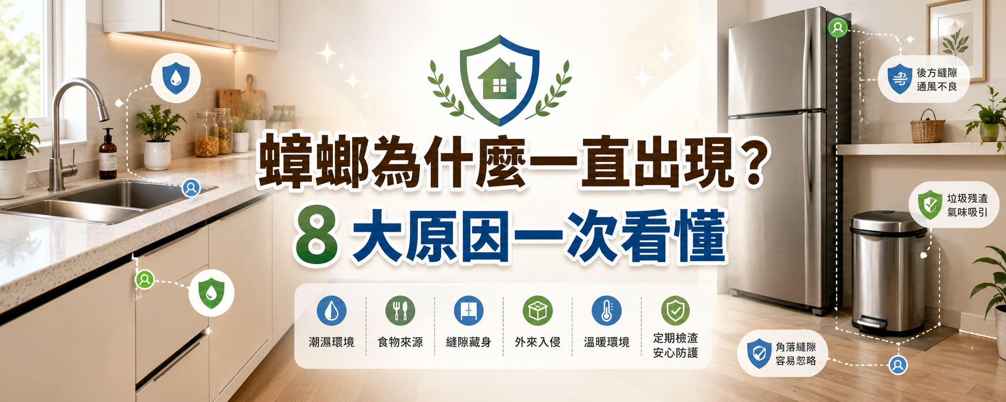 蟑螂為什麼一直出現？破解居家 8 大吸引蟑螂原因