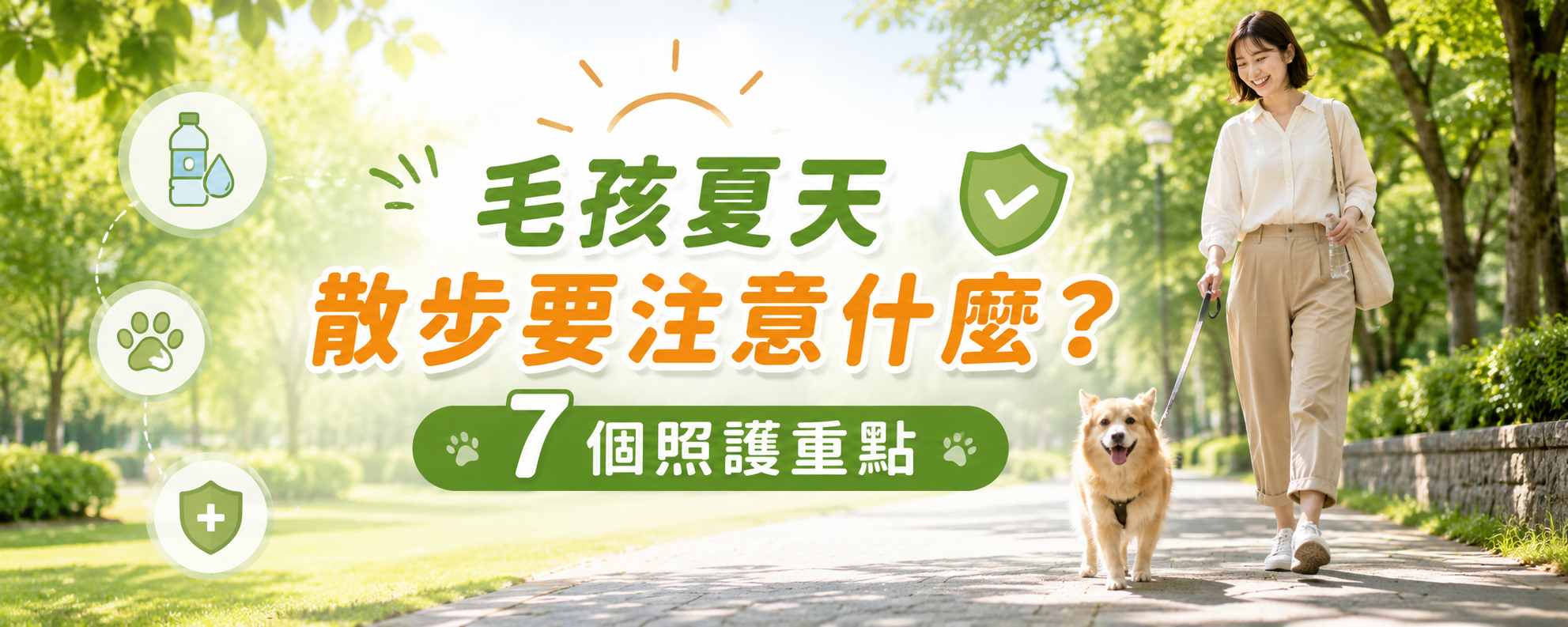 毛孩夏天散步要注意什麼？飼主必看的 7 個照護重點