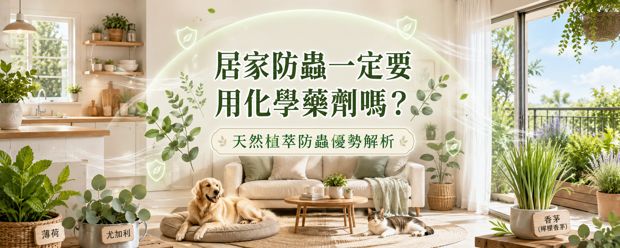 居家防蟲一定要用化學藥劑嗎？天然植萃防蟲的優勢解析