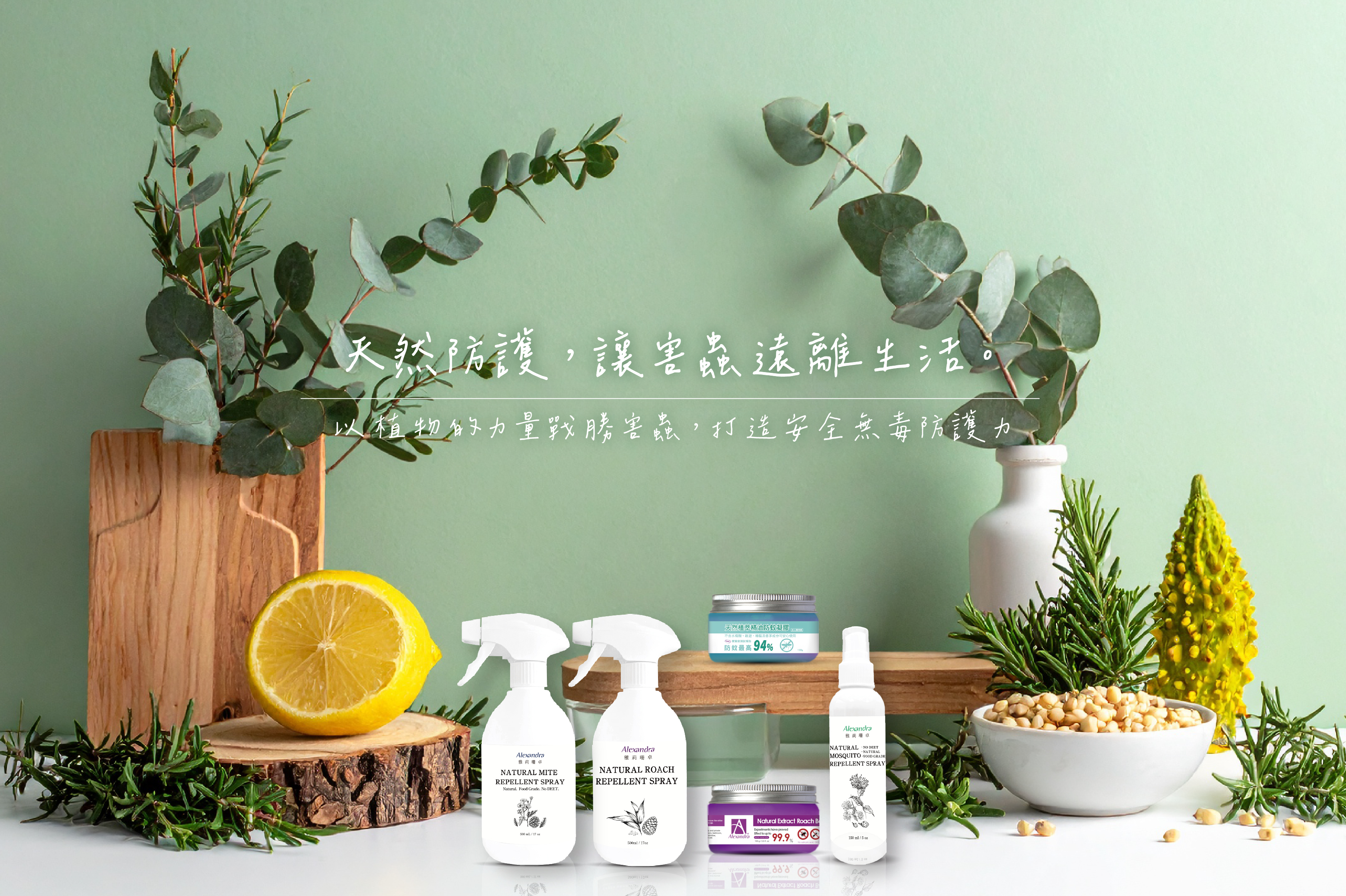 官網banner03-02
