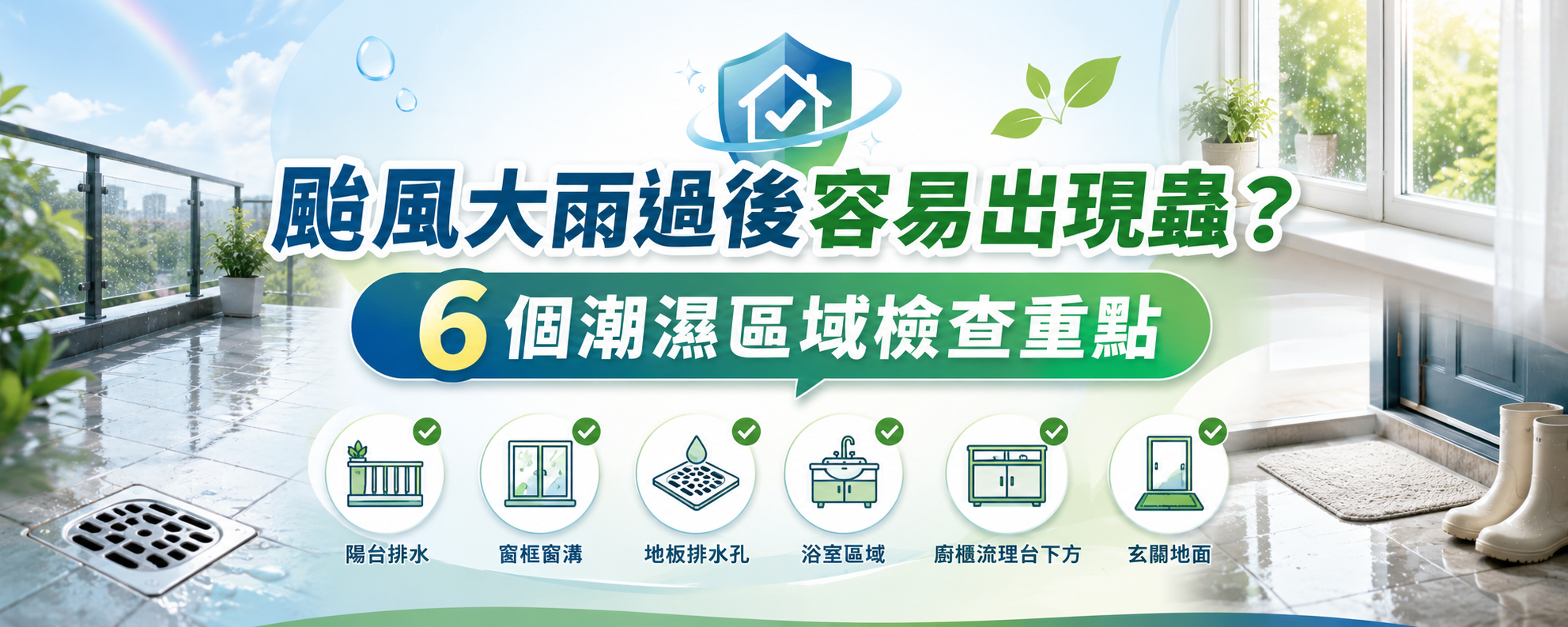 颱風大雨過後家裡容易出現蟲？6 個潮濕區域檢查重點