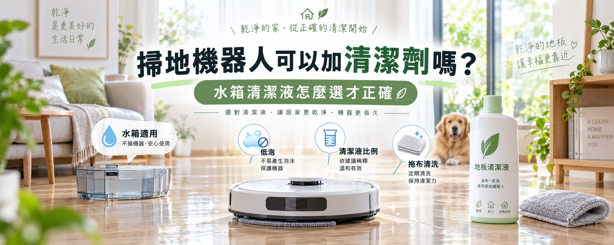 掃地機器人可以加清潔劑嗎？水箱清潔液怎麼選才正確