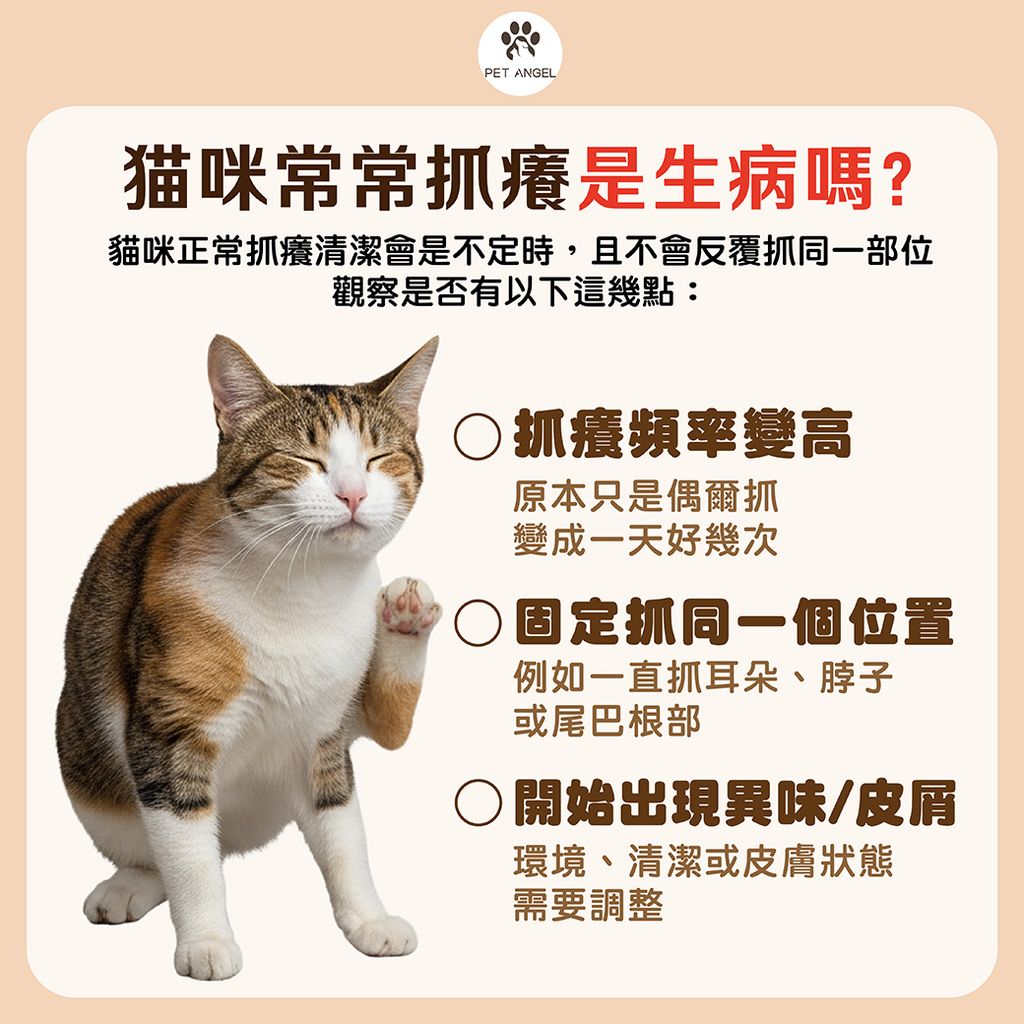 260323貓咪皮膚噴劑_工作區域 1 複本