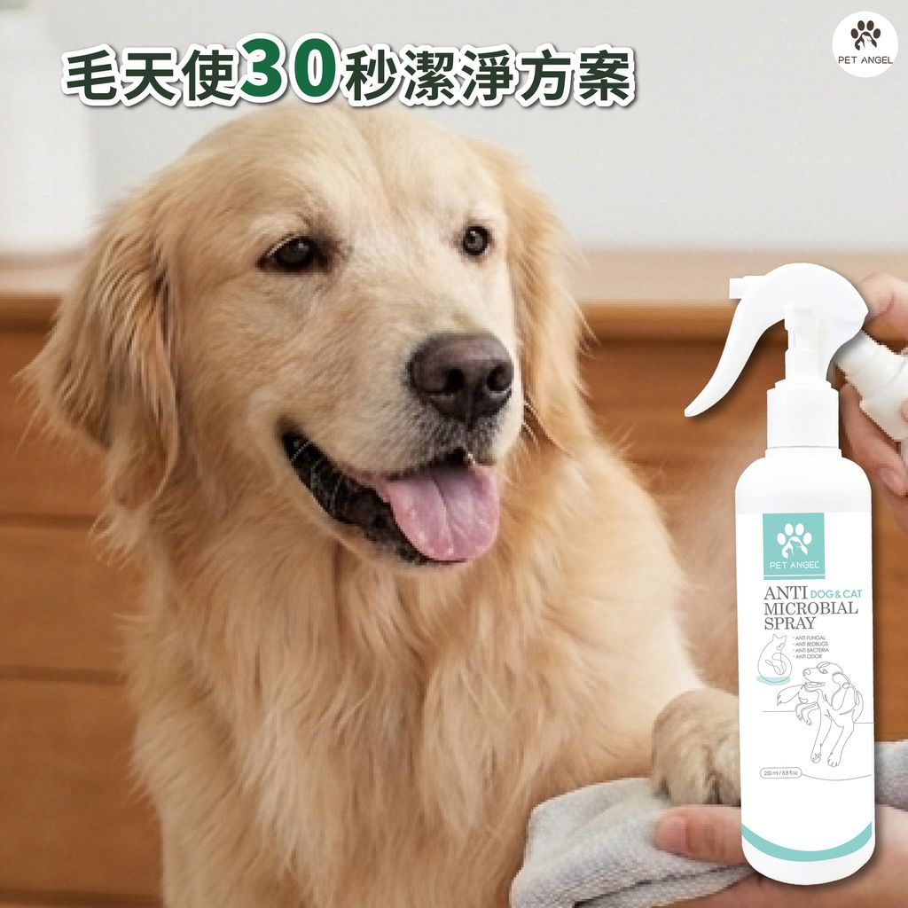 260325乾洗噴霧_工作區域 1 複本