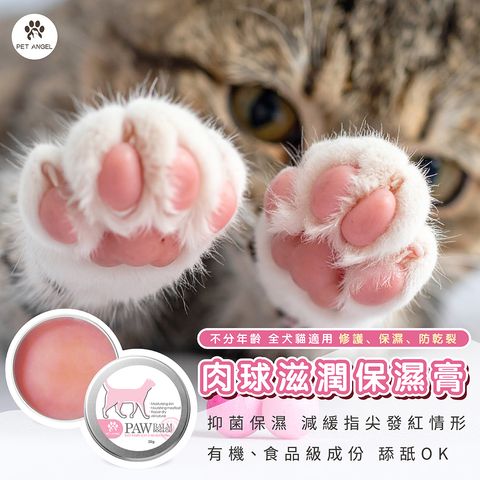 251101肉球保濕_工作區域 1