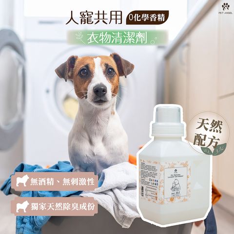 260124毛天使織物