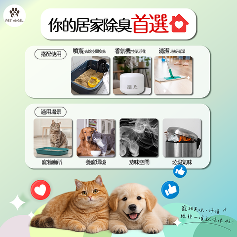 260117多功能消臭_工作區域 1 複本