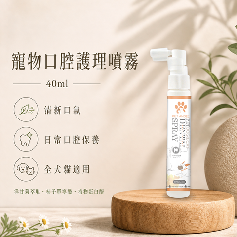 毛天使首圖-01