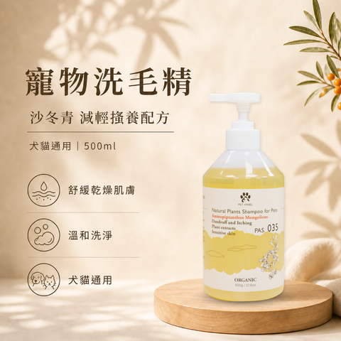 毛天使首圖-12