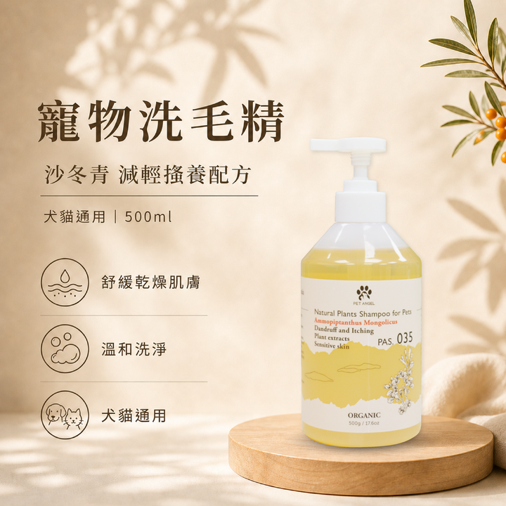 毛天使首圖-12