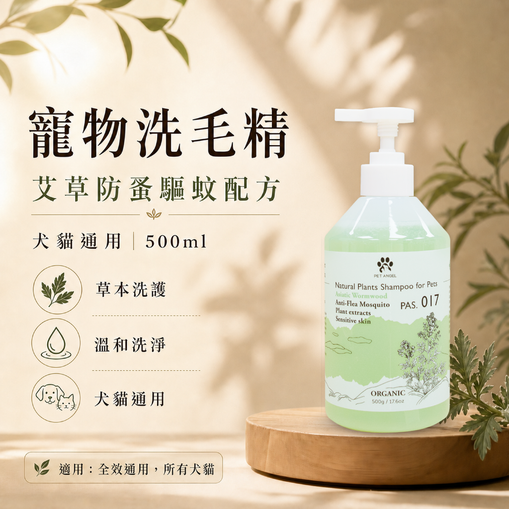 毛天使首圖-10