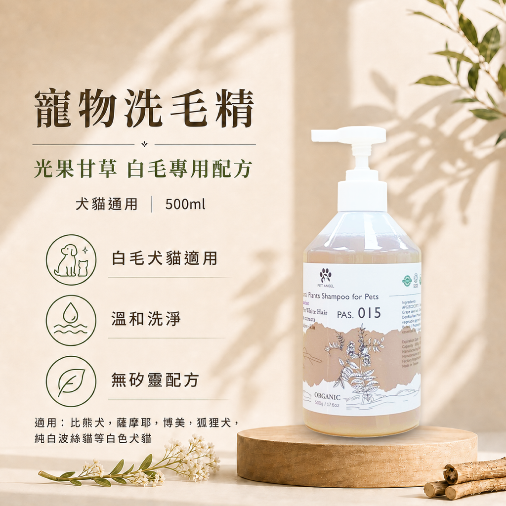 毛天使首圖-08