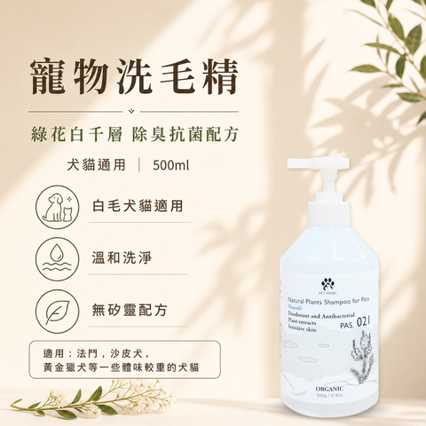 毛天使首圖-13