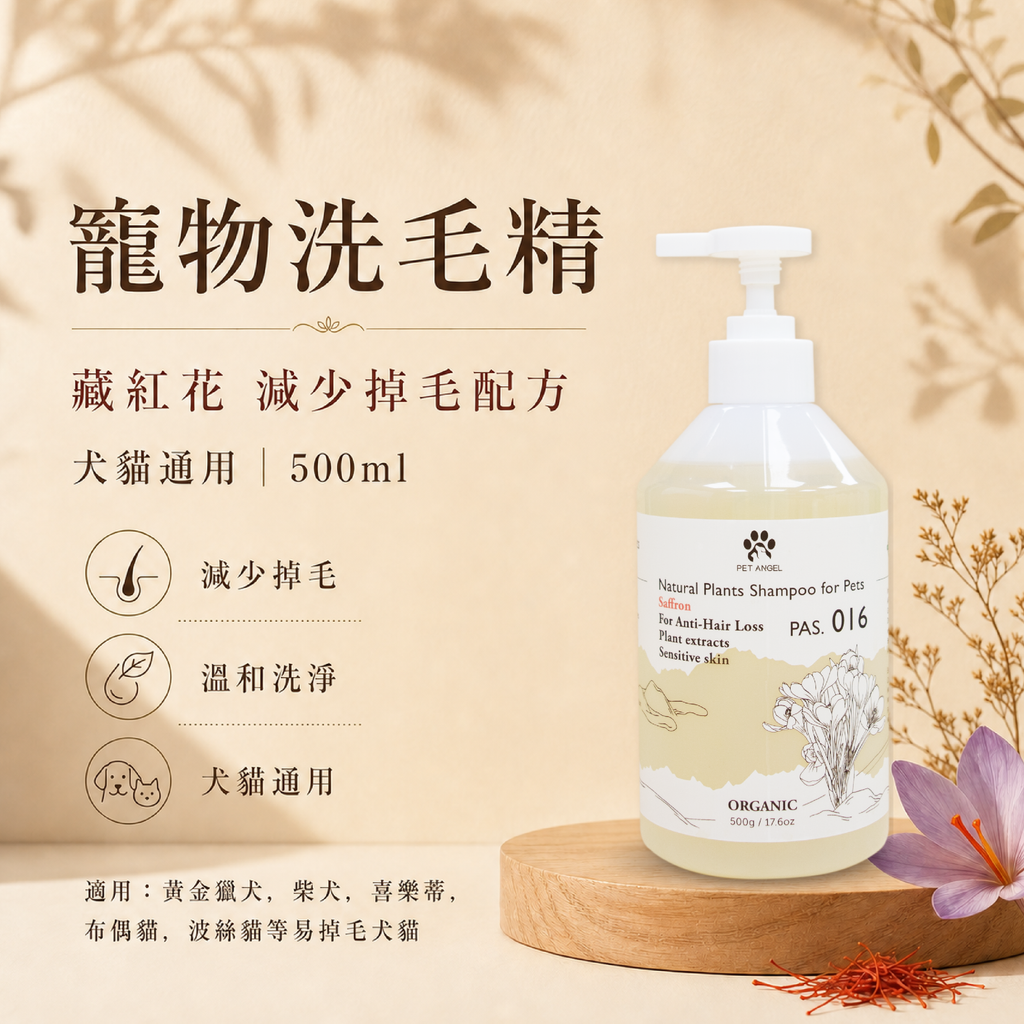 毛天使首圖-14