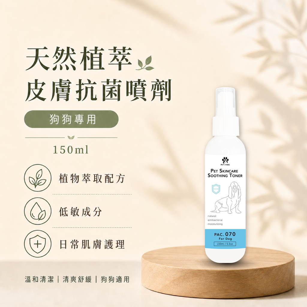 毛天使首圖-06