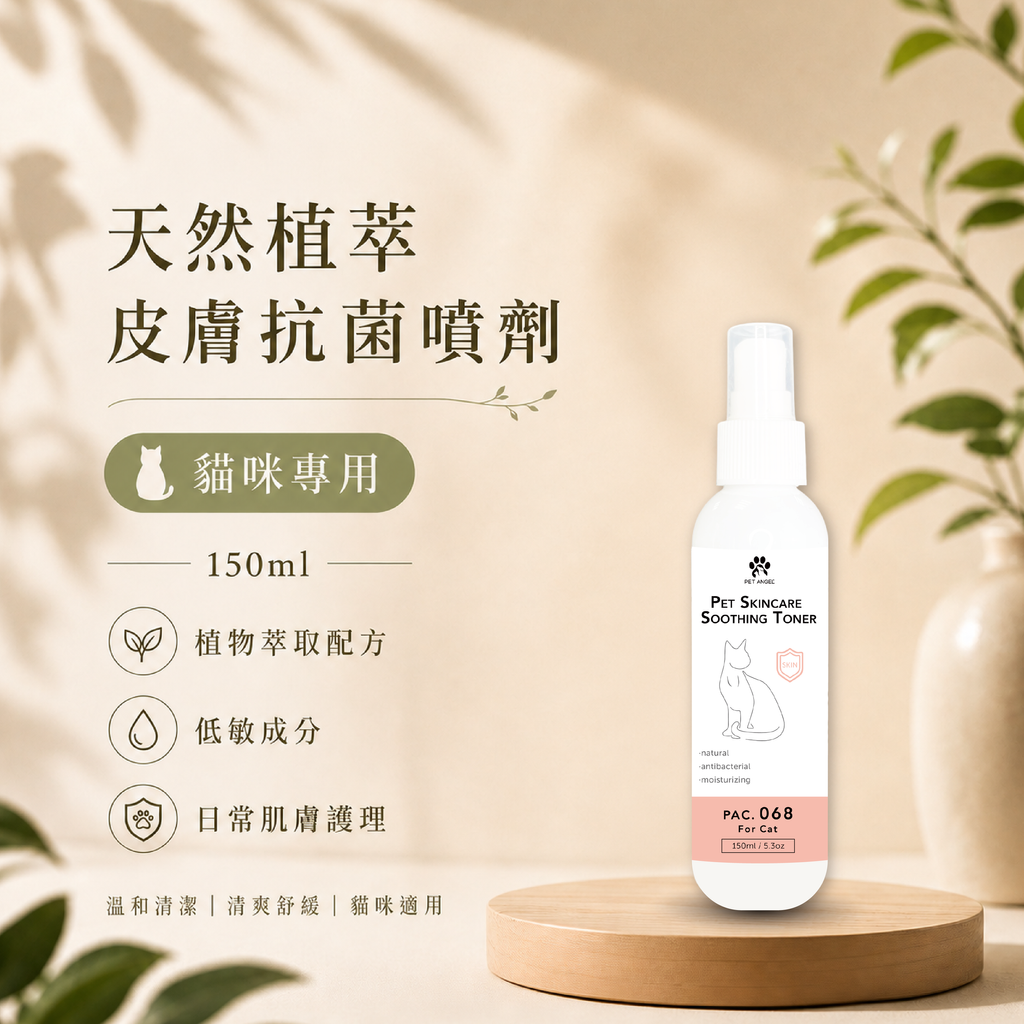 毛天使首圖-05