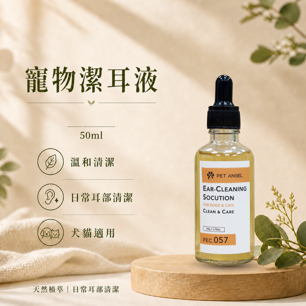 毛天使首圖-07