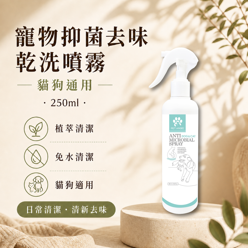 毛天使首圖-29