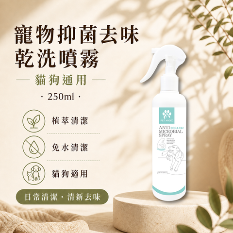 毛天使首圖-29