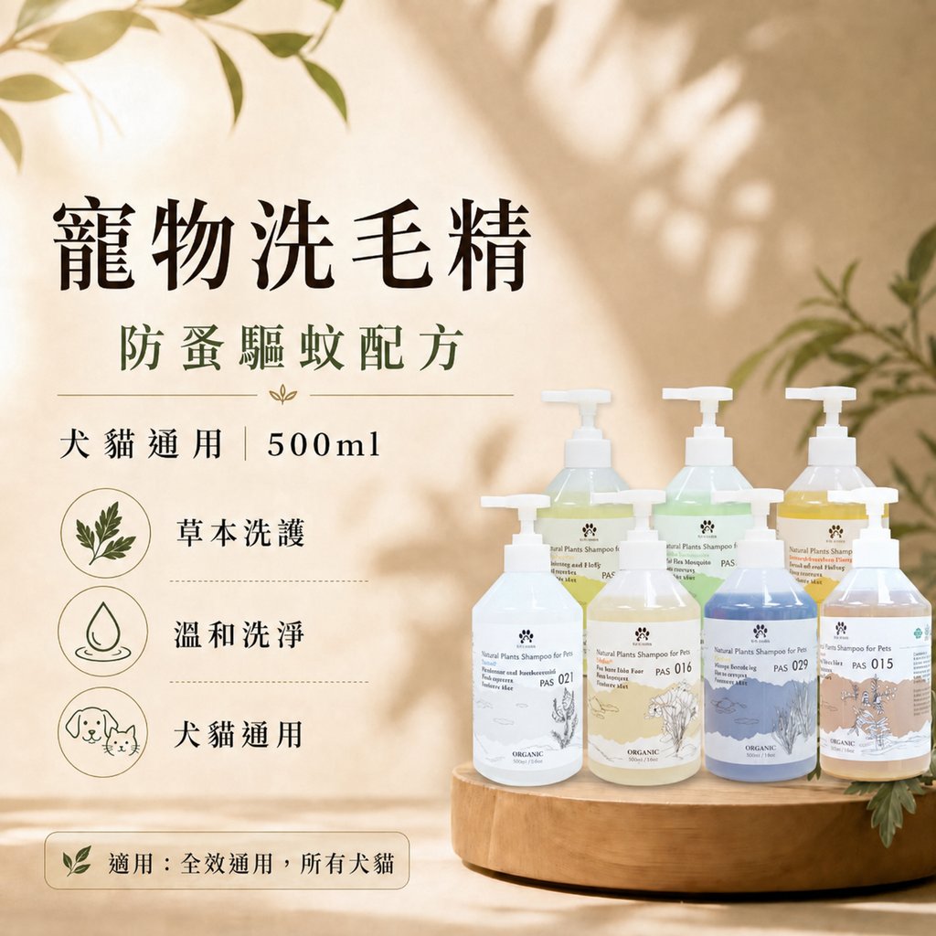 毛天使首圖 (2)