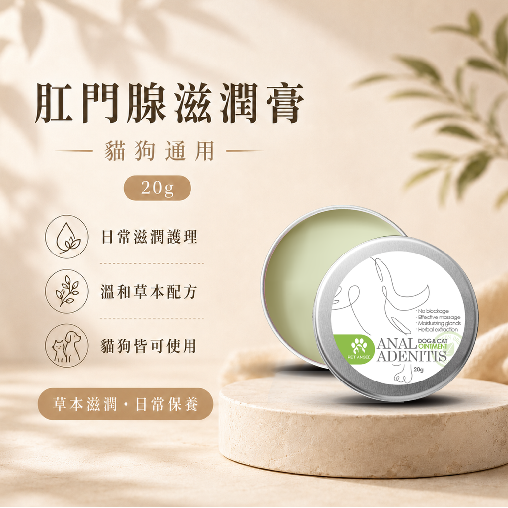 毛天使首圖