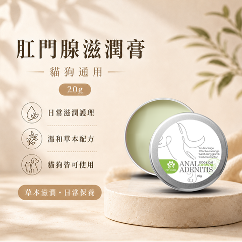 毛天使首圖