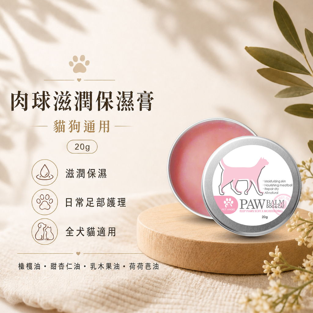 毛天使首圖-02