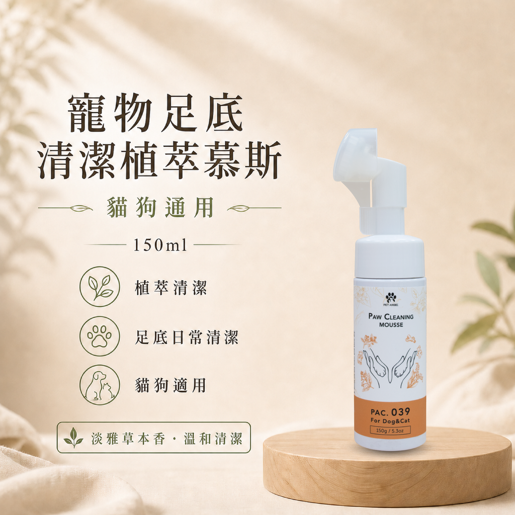 毛天使首圖-28