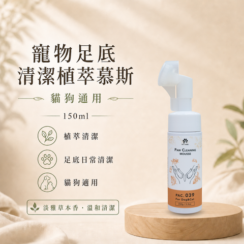 毛天使首圖-28