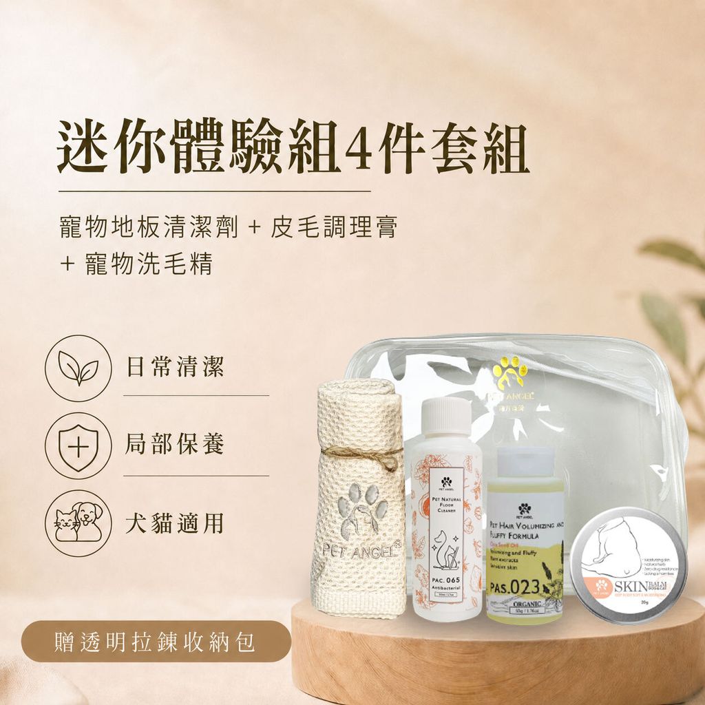 迷你體驗組