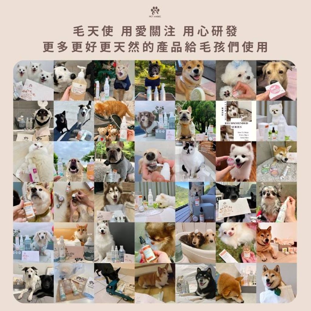 tw-11134207-23010-r7tgfknm5fmvf6