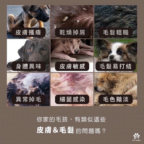 tw-11134207-23010-13rhg2ckvemvd1